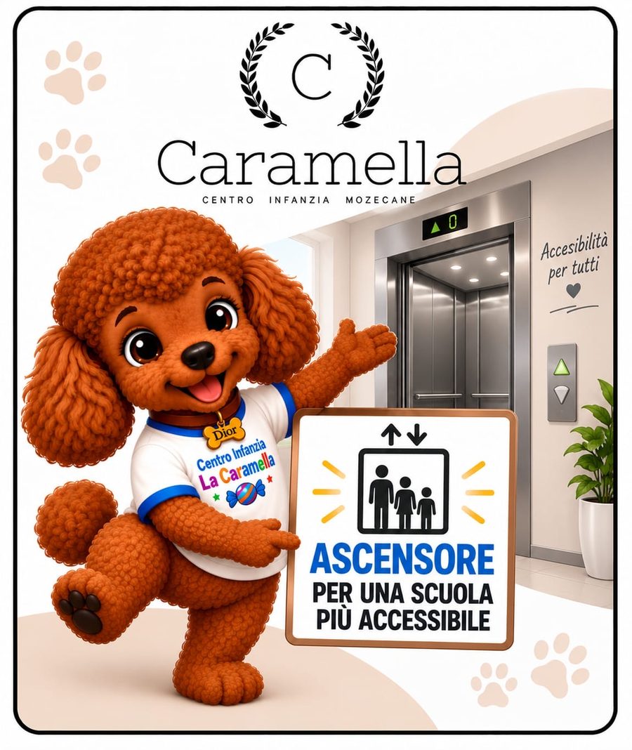 Ascensore, per una scuola più accessibile